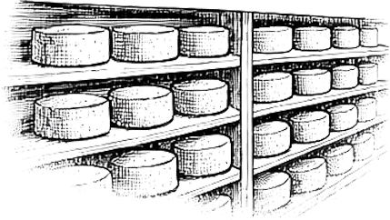 Stagionatura - magazzino forme